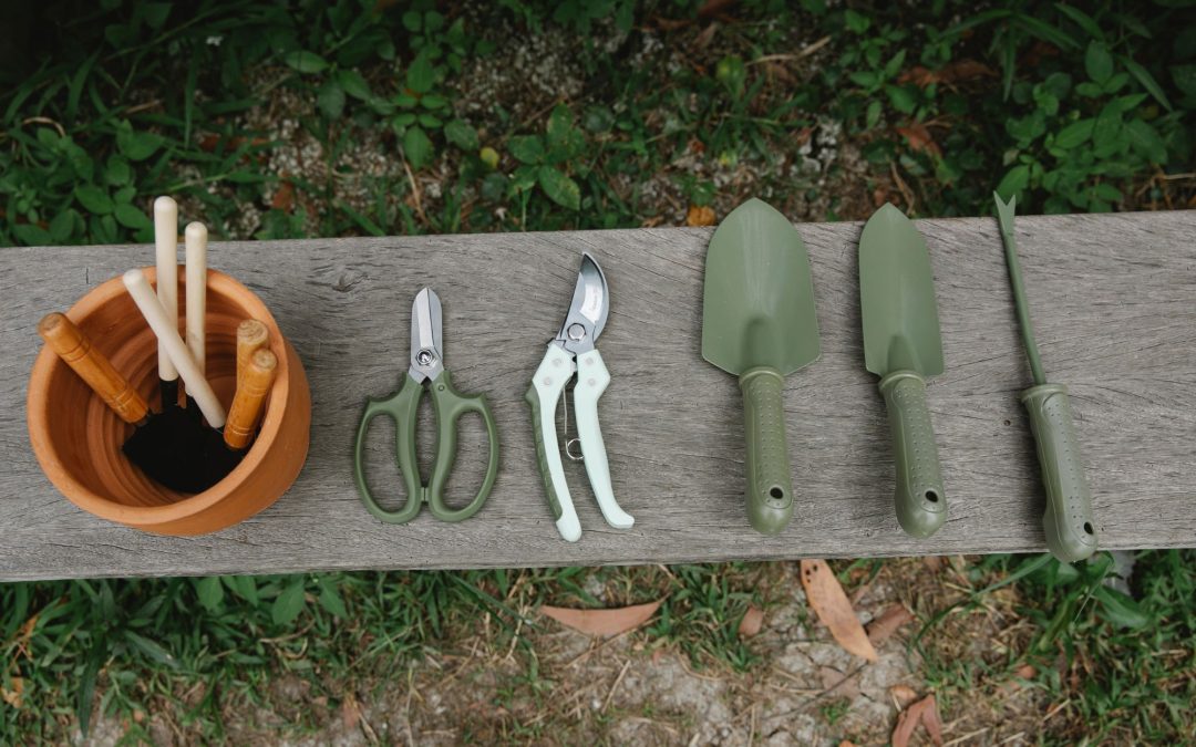 The Top 10 Must-Have Tools for Every Gardener